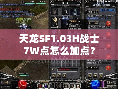 天龙SF1.03H战士7W点怎么加点？