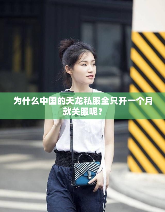 为什么中国的天龙私服全只开一个月就关服呢？