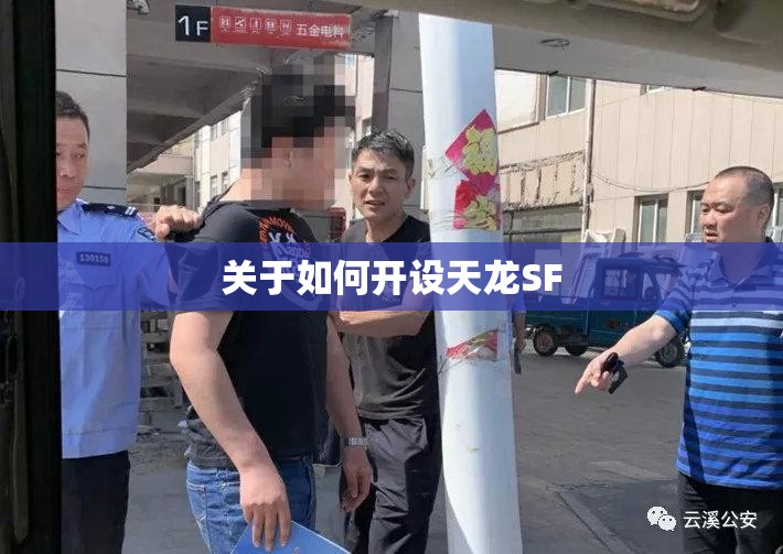 关于如何开设天龙SF