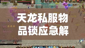 天龙私服物品锁应急解锁方案详解