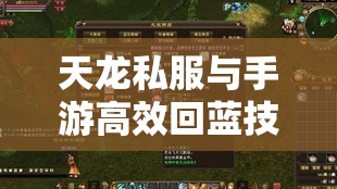 天龙私服与手游高效回蓝技巧揭秘