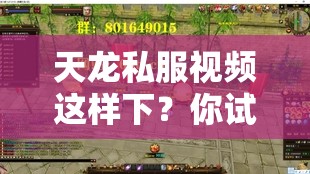 天龙私服视频这样下？你试过吗？