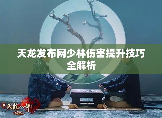 天龙发布网少林伤害提升技巧全解析