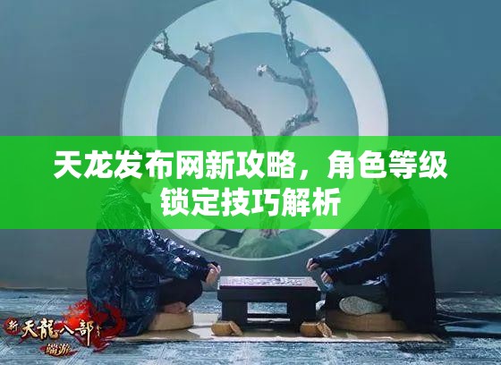 天龙发布网新攻略，角色等级锁定技巧解析