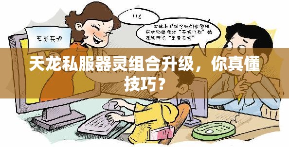 天龙私服器灵组合升级，你真懂技巧？