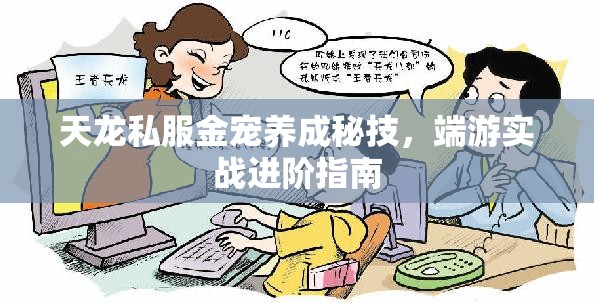 天龙私服金宠养成秘技，端游实战进阶指南