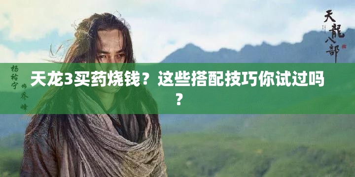 天龙3买药烧钱？这些搭配技巧你试过吗？