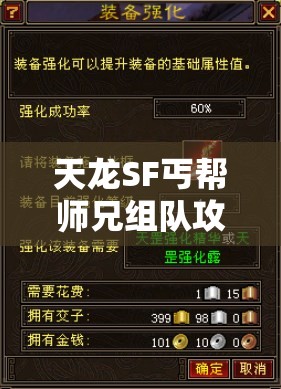 天龙SF丐帮师兄组队攻略与技巧解析