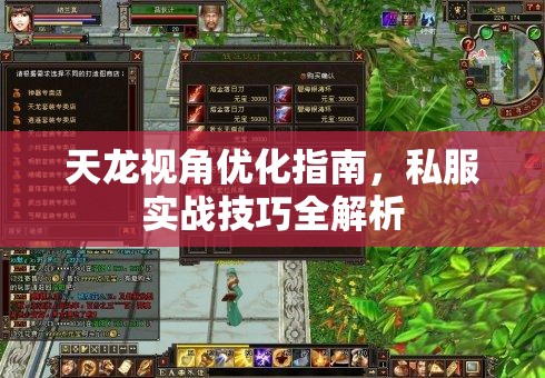 天龙视角优化指南，私服实战技巧全解析